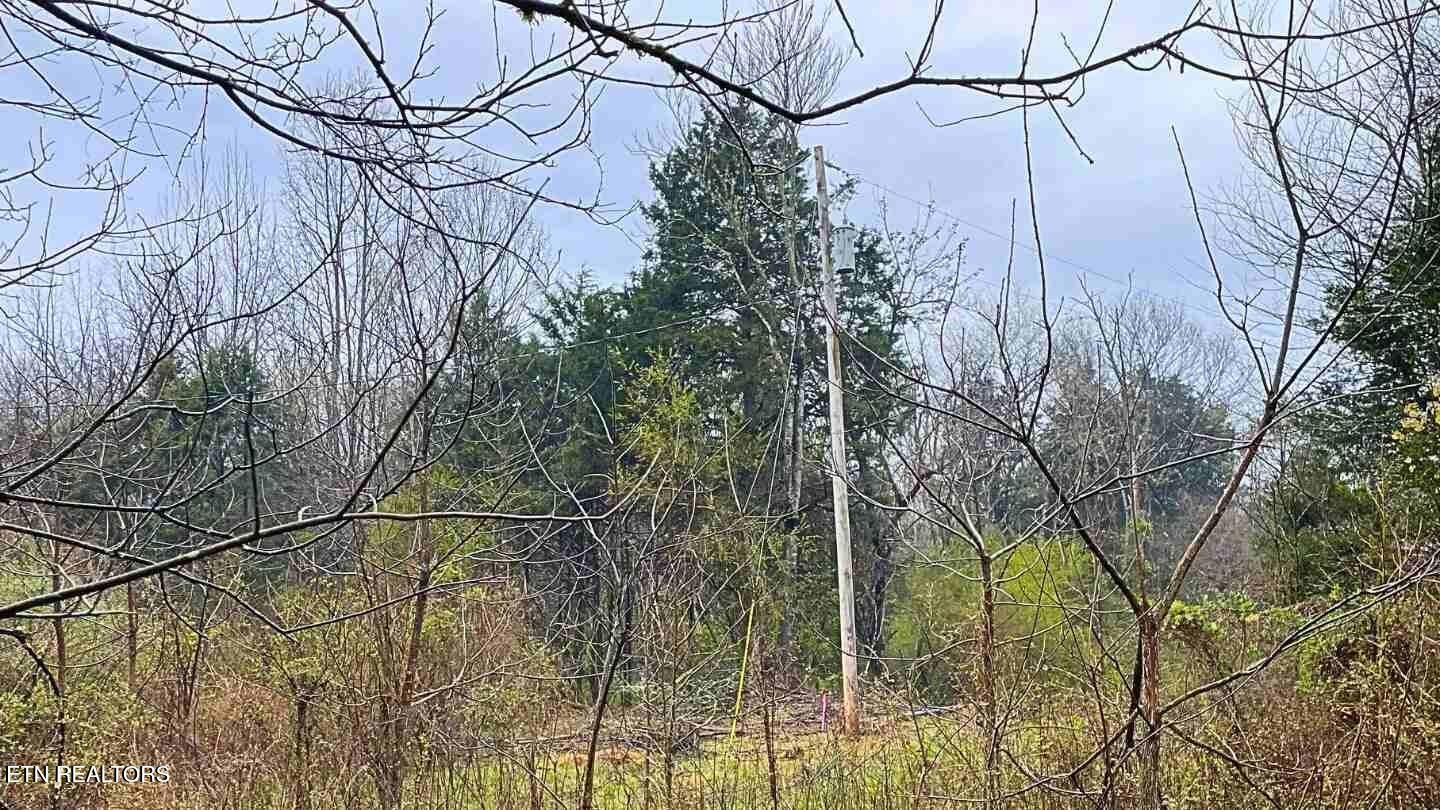 1271 Sweetwater Road Newport, TN 37821 - Photo 3 of 10
