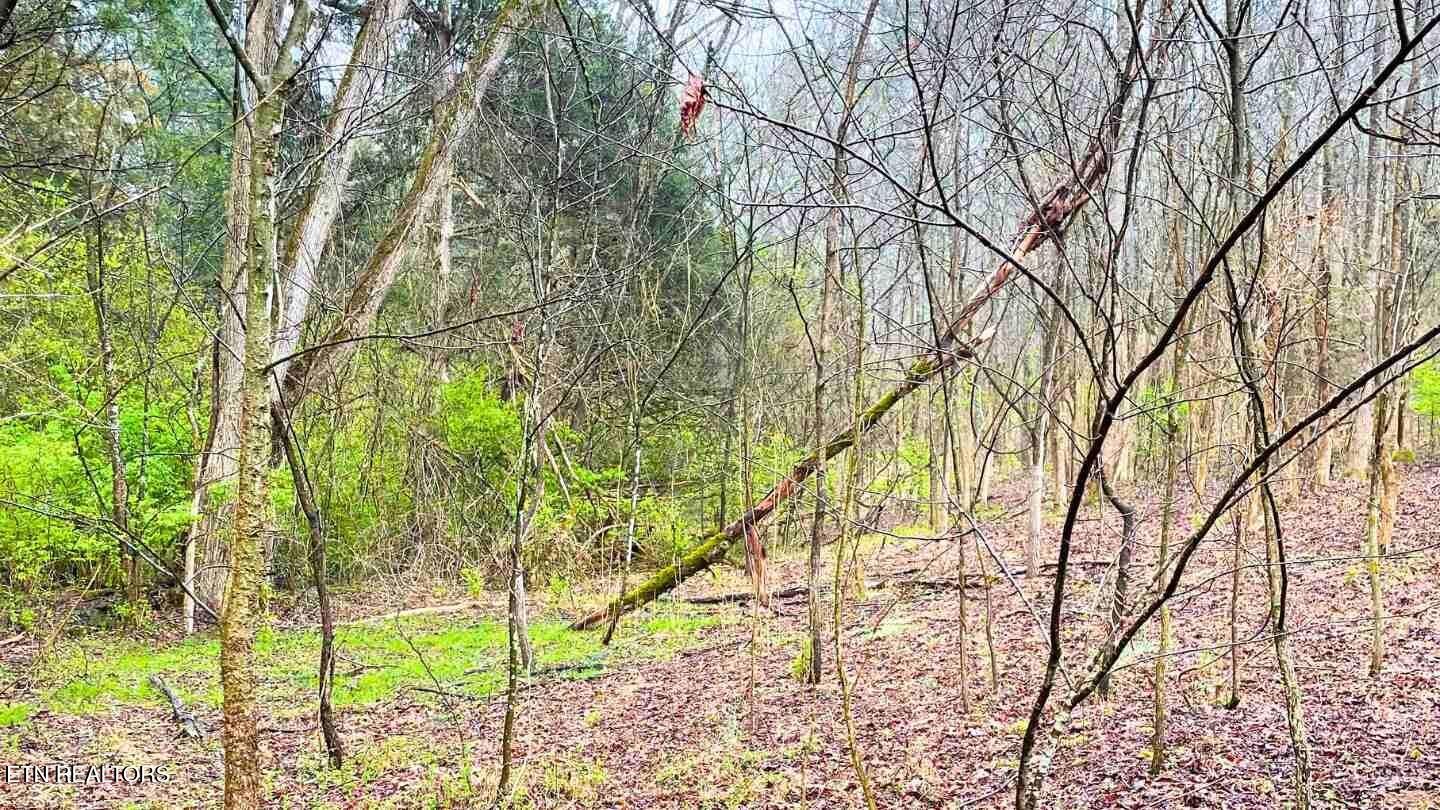 1271 Sweetwater Road Newport, TN 37821 - Photo 5 of 10