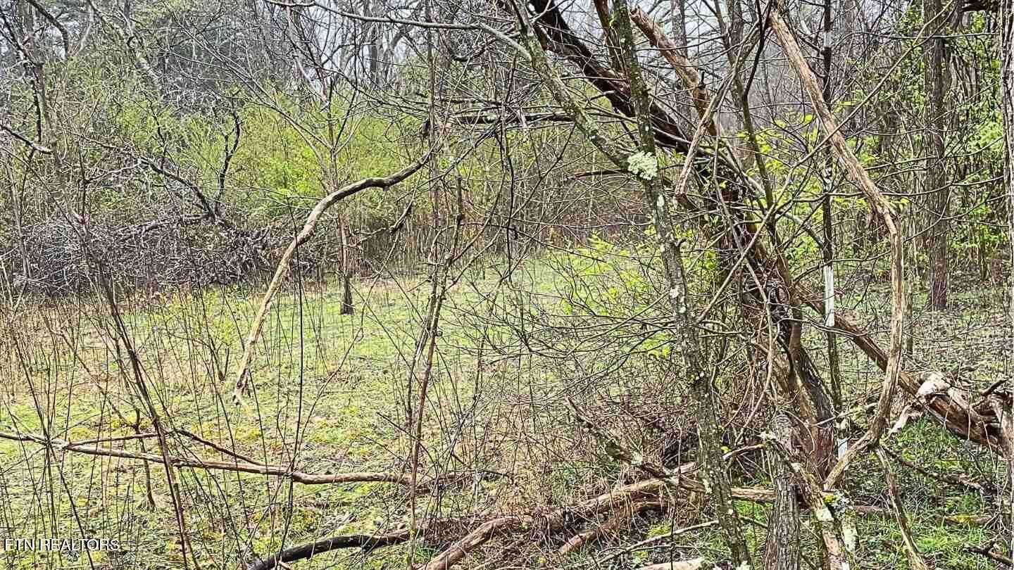 1271 Sweetwater Road Newport, TN 37821 - Photo 6 of 10