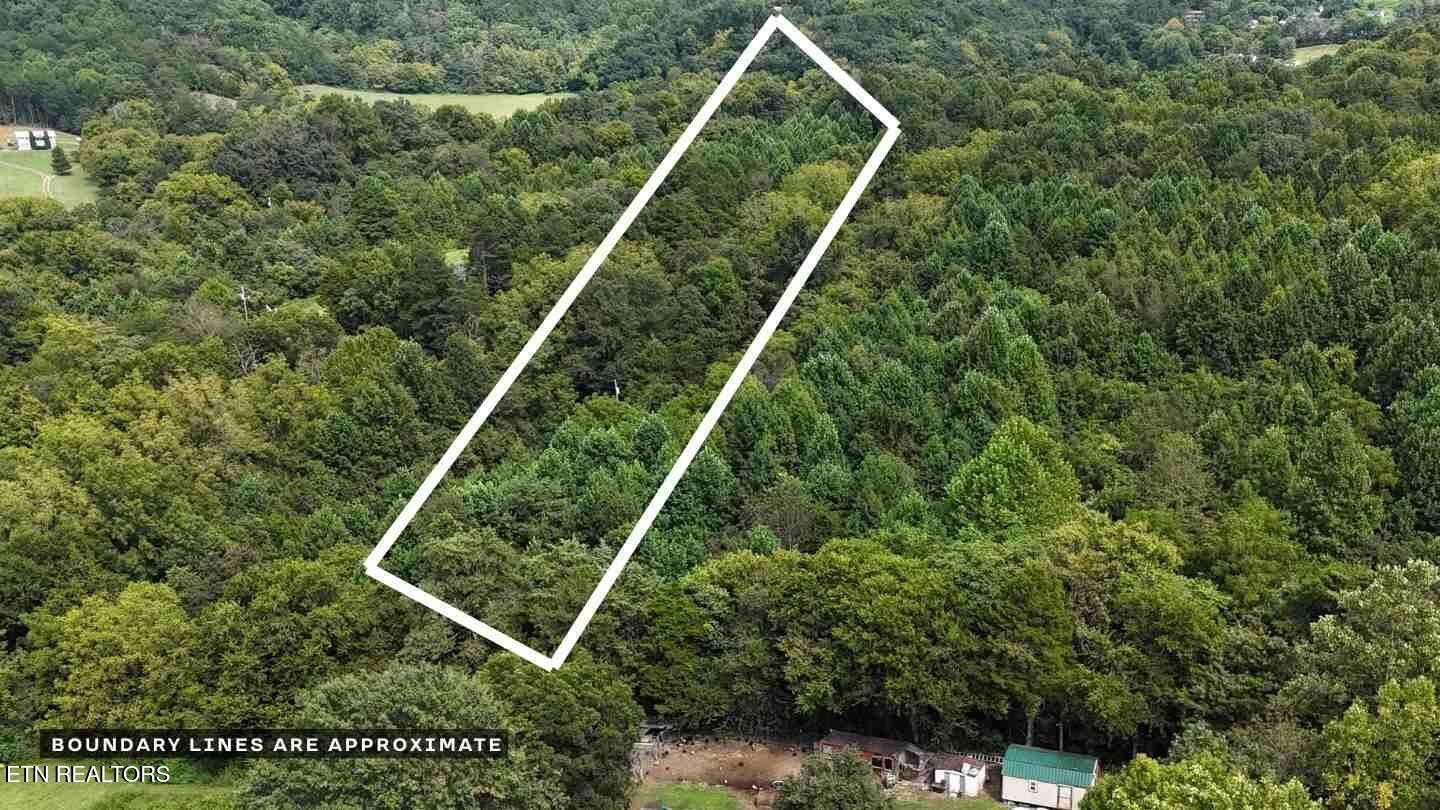 1271 Sweetwater Road Newport, TN 37821 - Photo 8 of 10