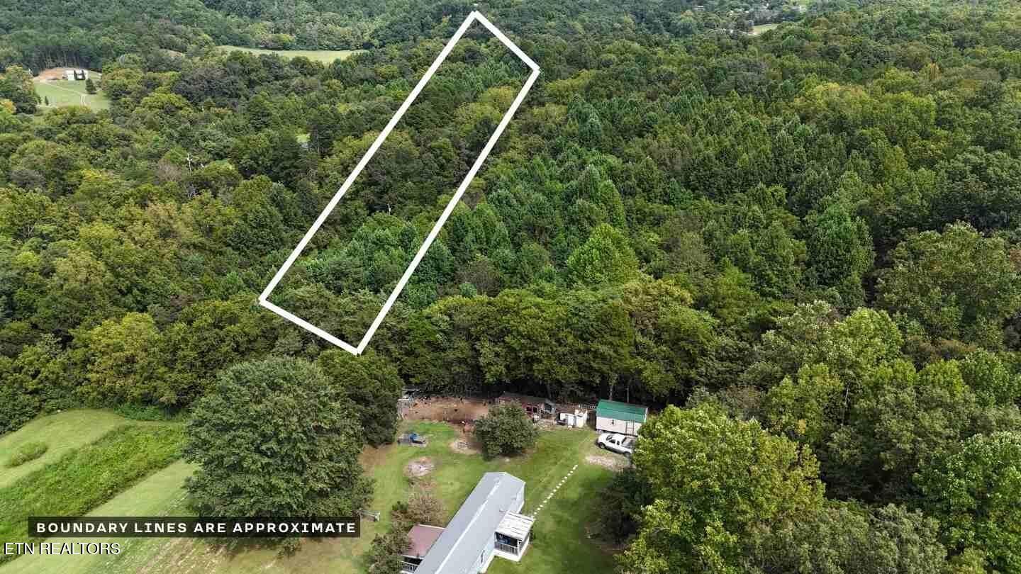 1271 Sweetwater Road Newport, TN 37821 - Photo 9 of 10