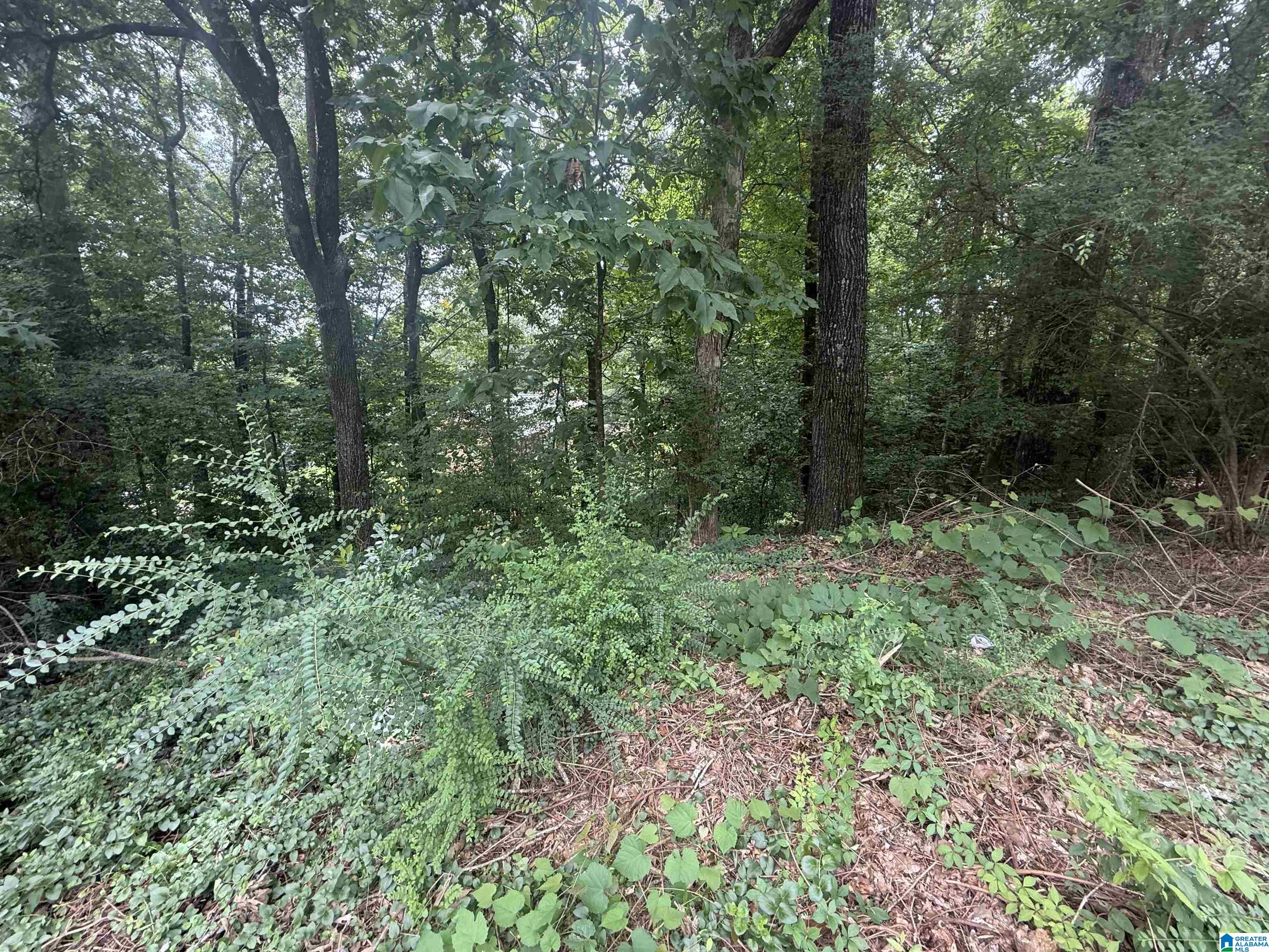 621 Woodbrook Road, Unit 62 Birmingham, AL 35215 - Photo 3 of 5