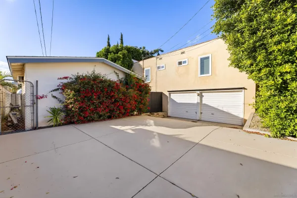 a view of backyard with potted plants