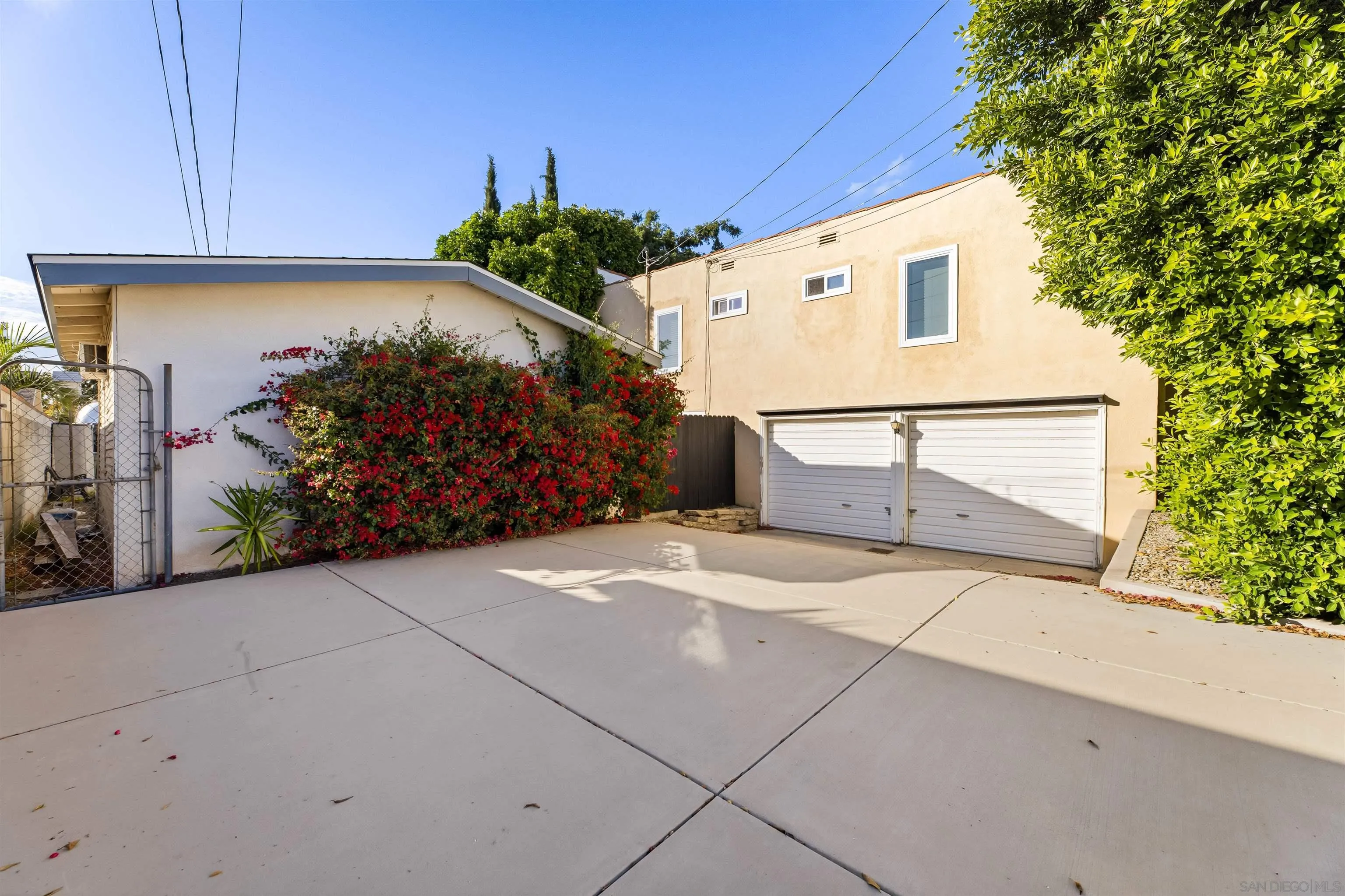 a view of backyard with potted plants