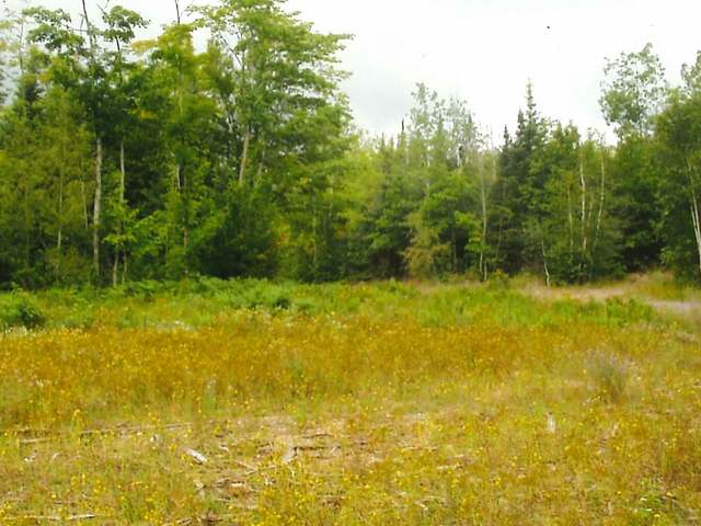 On Copper City-Gay Road Mohawk, MI 49950 - Photo 3 of 5 Gallery Image 3