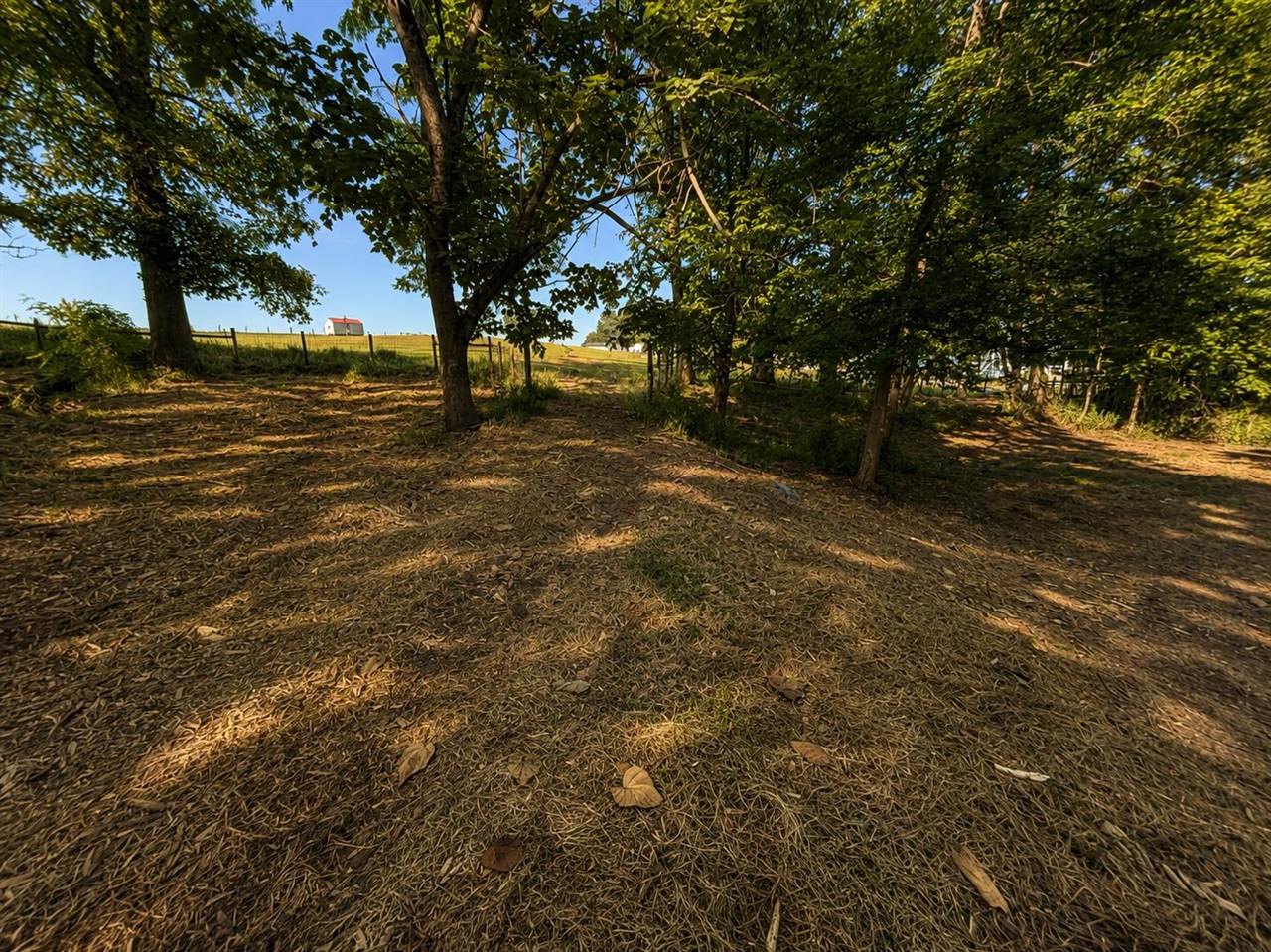 5840 Randolph Goodluck Road Summer Shade, KY 42166 - Photo 13 of 13 Gallery Image 13