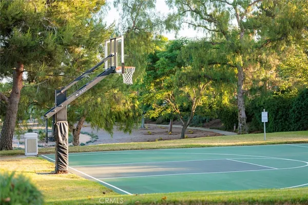 a view of a tennis ground with large trees