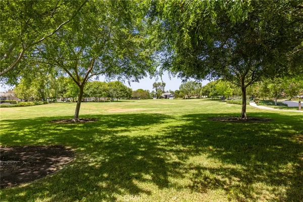 a view of a garden with trees