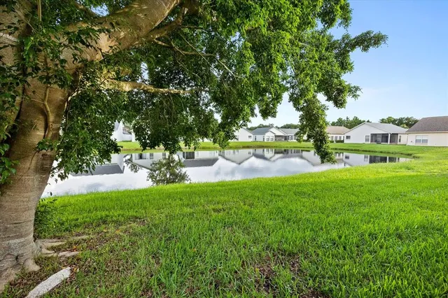 a view of backyard with swimming pool and green space