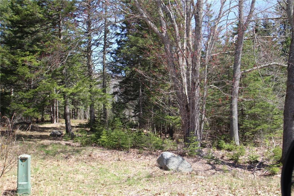 03 Old Woods Road Tenants Harbor, ME 04860 - Photo 8 of 8 Photo