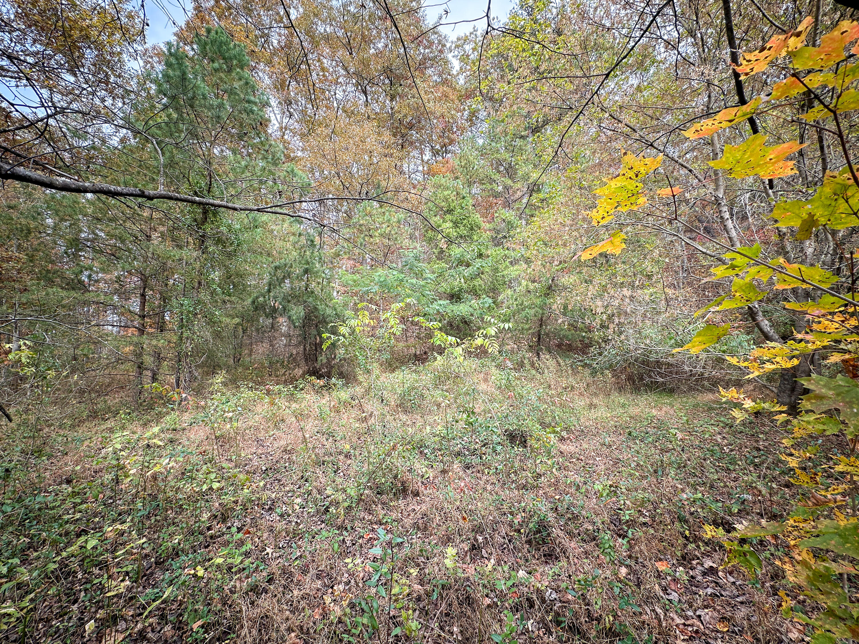 999 South Wilderness Road Mount Vernon, KY 40456 - Photo 16 of 19 Photo Oct 26 2025, 1 17 38 PM