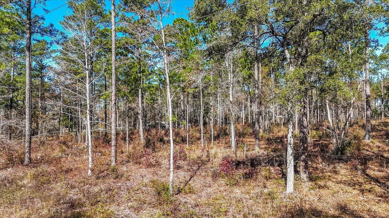 487 Cox Road Monticello, FL 32344 - Photo 1 of 17 Gallery Image 1