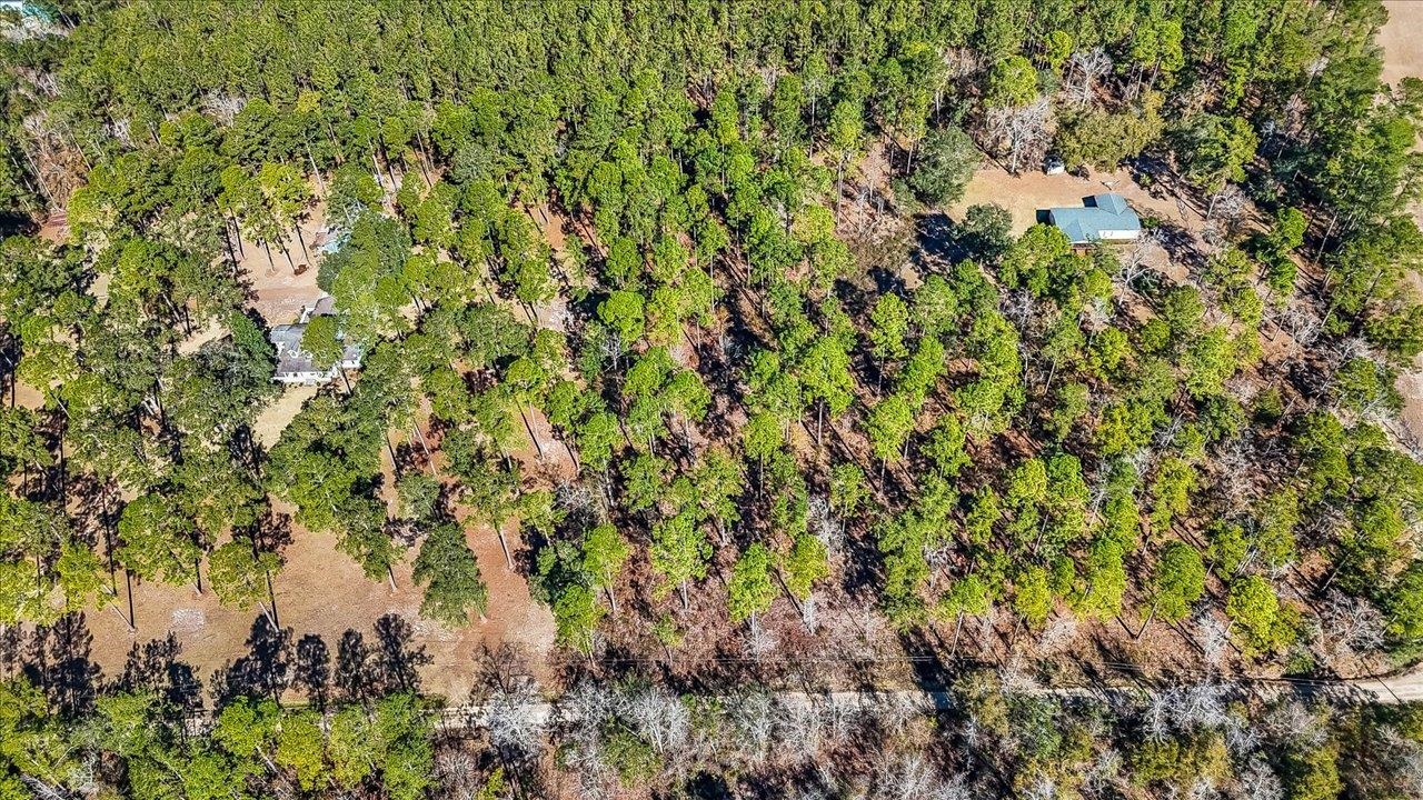487 Cox Road Monticello, FL 32344 - Photo 12 of 17 Gallery Image 12