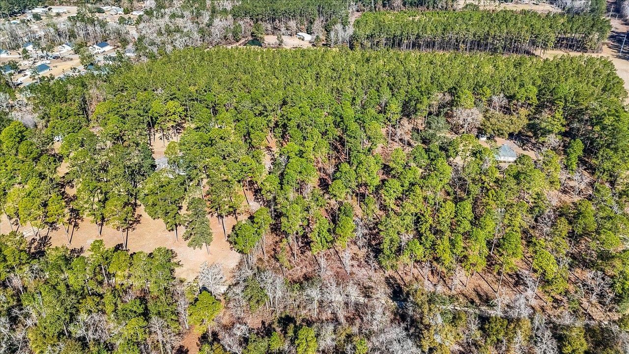 487 Cox Road Monticello, FL 32344 - Photo 13 of 17 Gallery Image 13