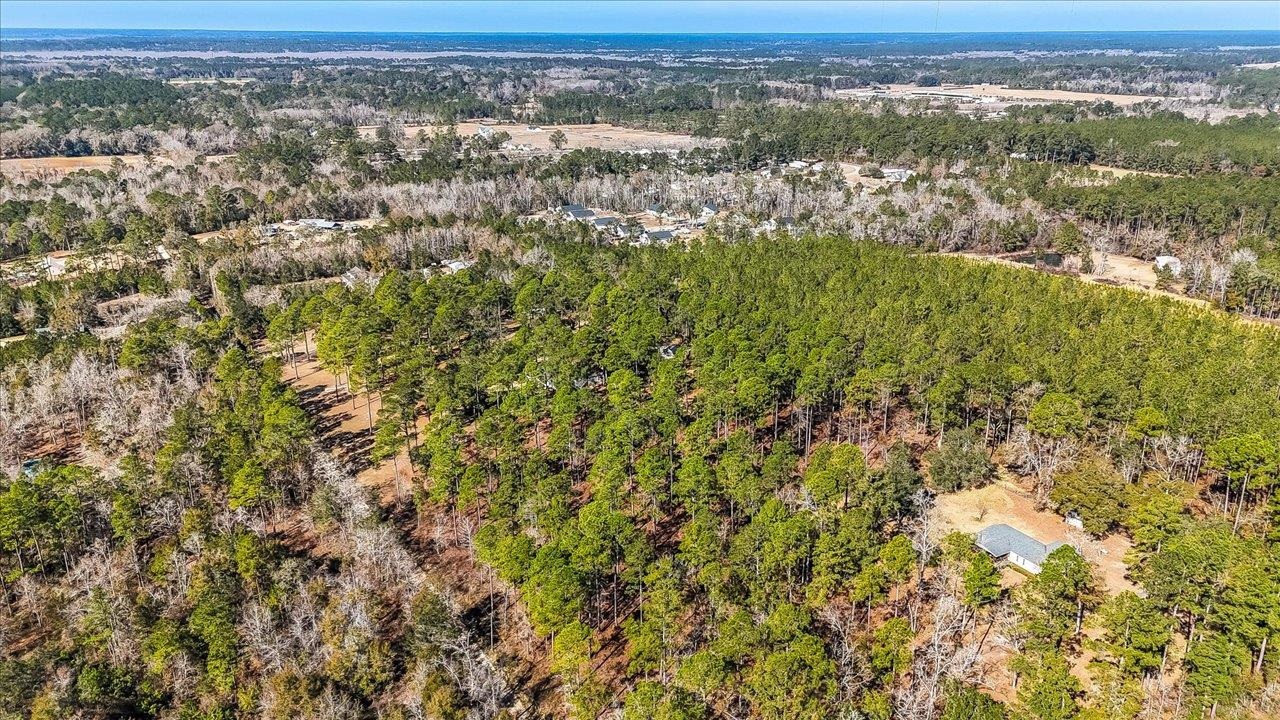 487 Cox Road Monticello, FL 32344 - Photo 15 of 17 Gallery Image 15