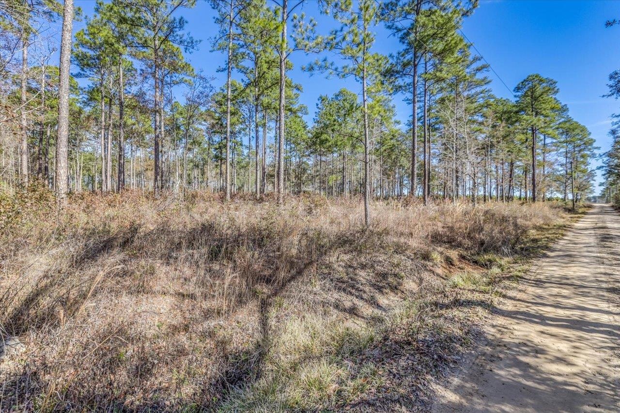 487 Cox Road Monticello, FL 32344 - Photo 17 of 17 Gallery Image 17