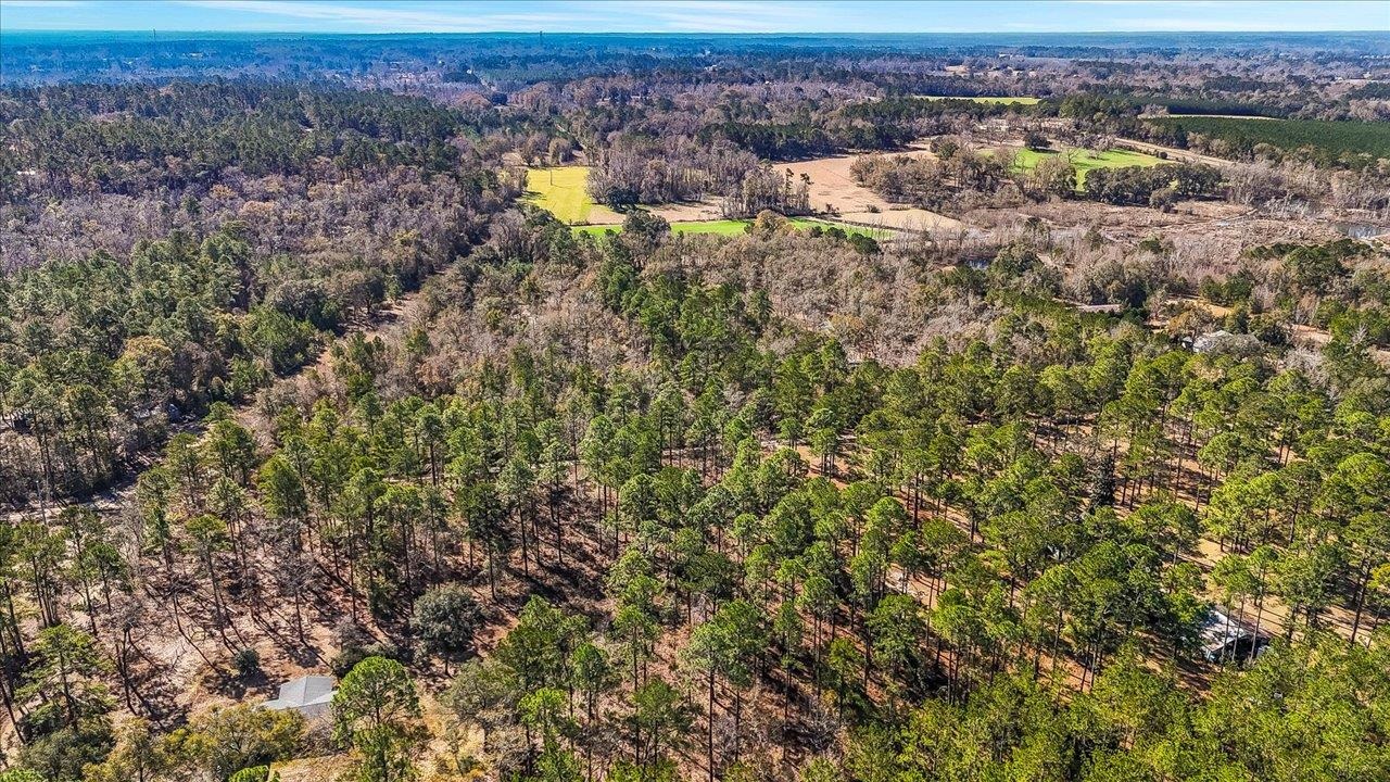 487 Cox Road Monticello, FL 32344 - Photo 2 of 17 Gallery Image 2