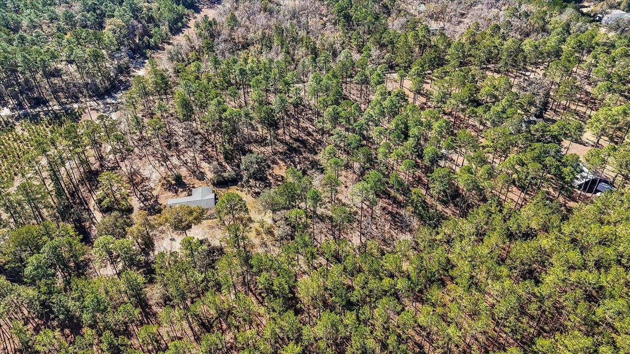 487 Cox Road Monticello, FL 32344 - Photo 3 of 17 Gallery Image 3