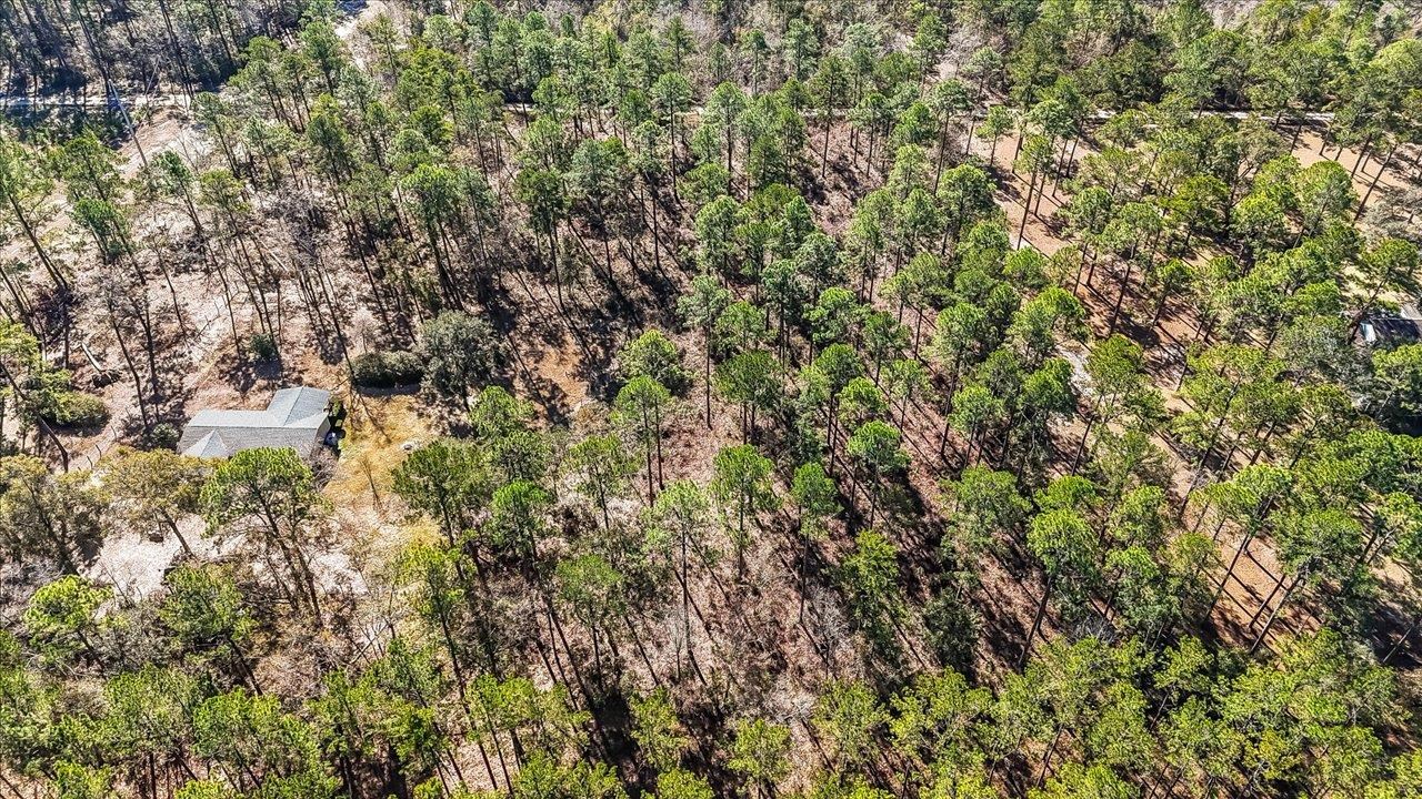 487 Cox Road Monticello, FL 32344 - Photo 4 of 17 Gallery Image 4