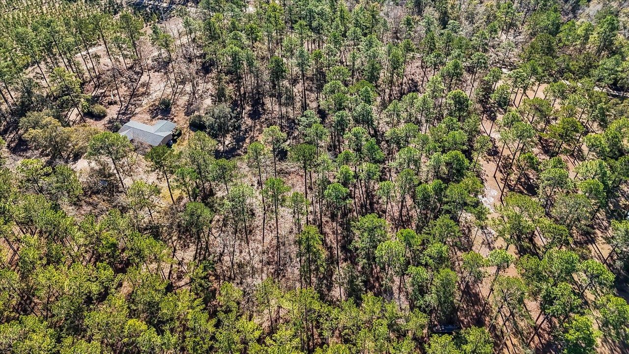 487 Cox Road Monticello, FL 32344 - Photo 5 of 17 Gallery Image 5