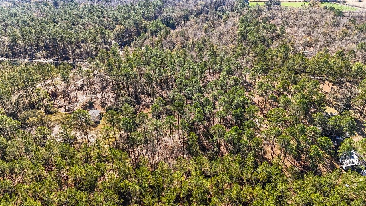 487 Cox Road Monticello, FL 32344 - Photo 6 of 17 Gallery Image 6