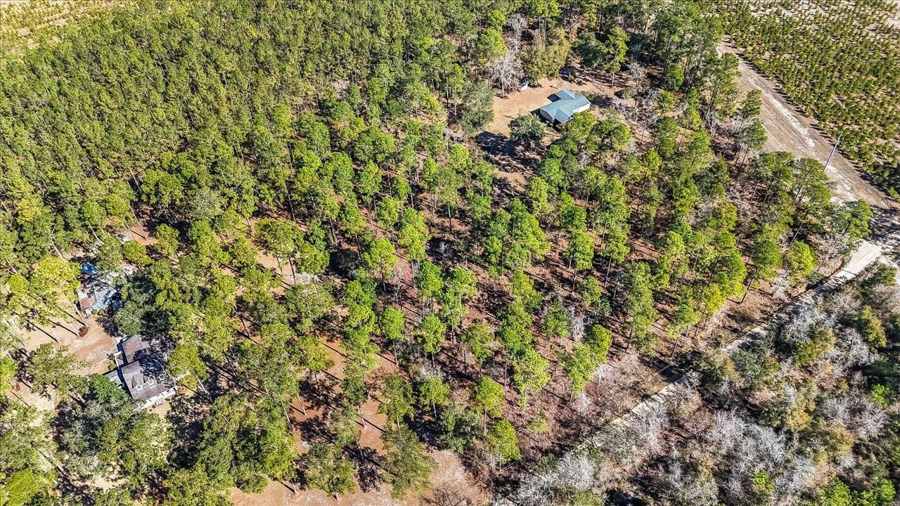 487 Cox Road Monticello, FL 32344 - Photo 8 of 17 Gallery Image 8