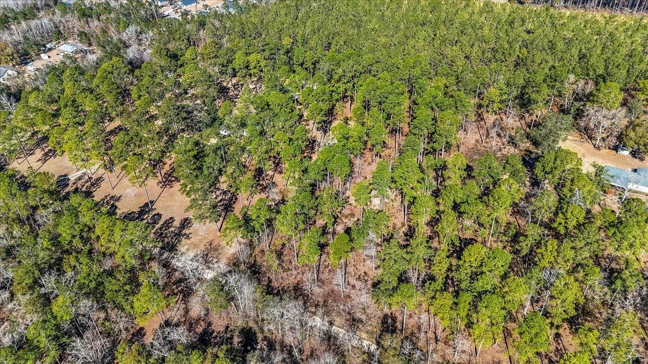 487 Cox Road Monticello, FL 32344 - Photo 10 of 17 Gallery Image 10