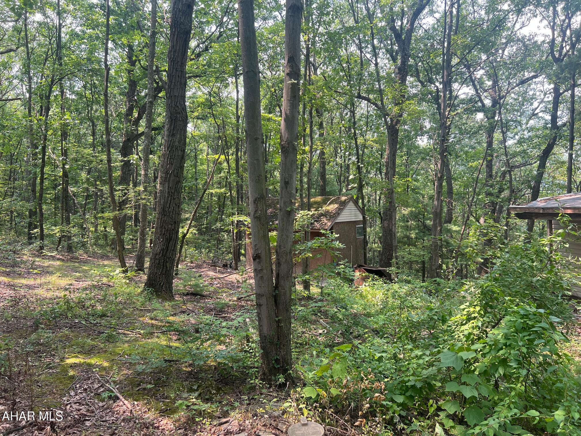 Gallery Image 6