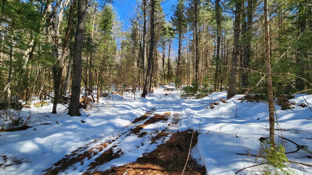 Lot 14 Stream Road Vienna, ME 04360 - Photo 18 of 20 20240330_124344_resized