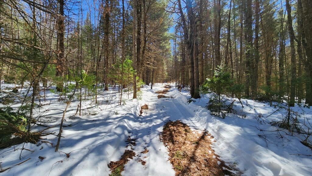 Lot 14 Stream Road Vienna, ME 04360 - Photo 19 of 20 20240330_124504_resized