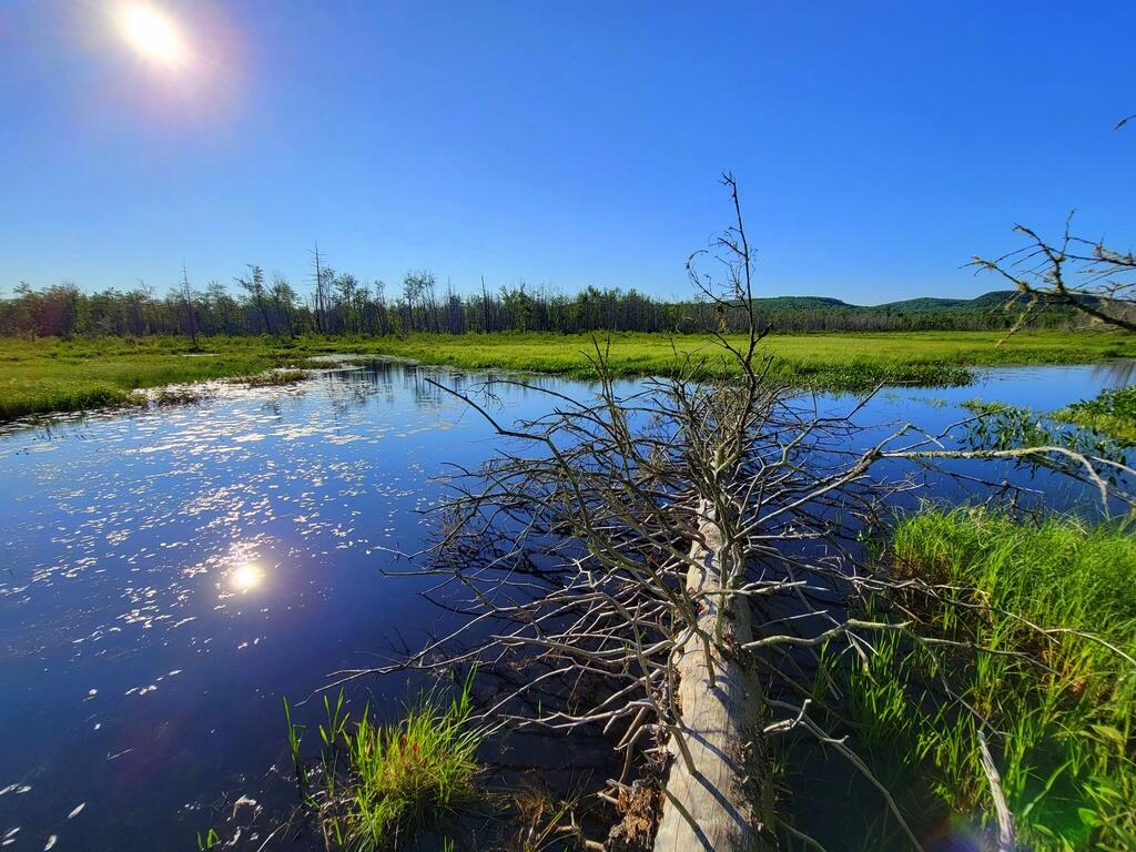 Lot 14 Stream Road Vienna, ME 04360 - Photo 7 of 20 10-Stream (2)