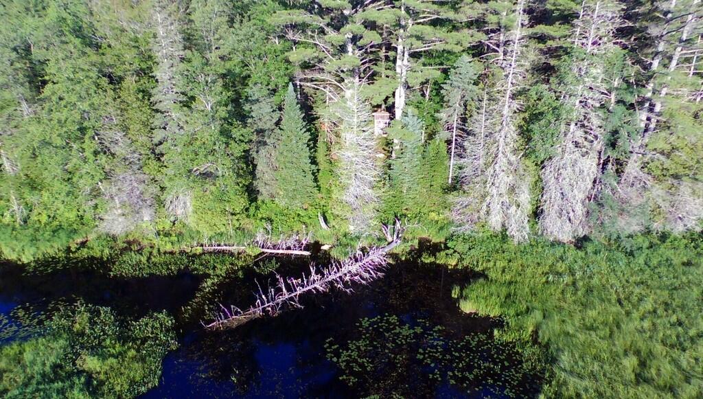 Lot 14 Stream Road Vienna, ME 04360 - Photo 8 of 20 18-Outbuilding G