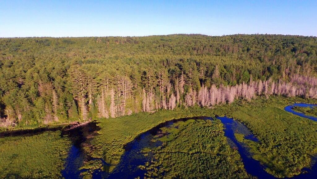 Lot 14 Stream Road Vienna, ME 04360 - Photo 9 of 20 20-Aerial 1
