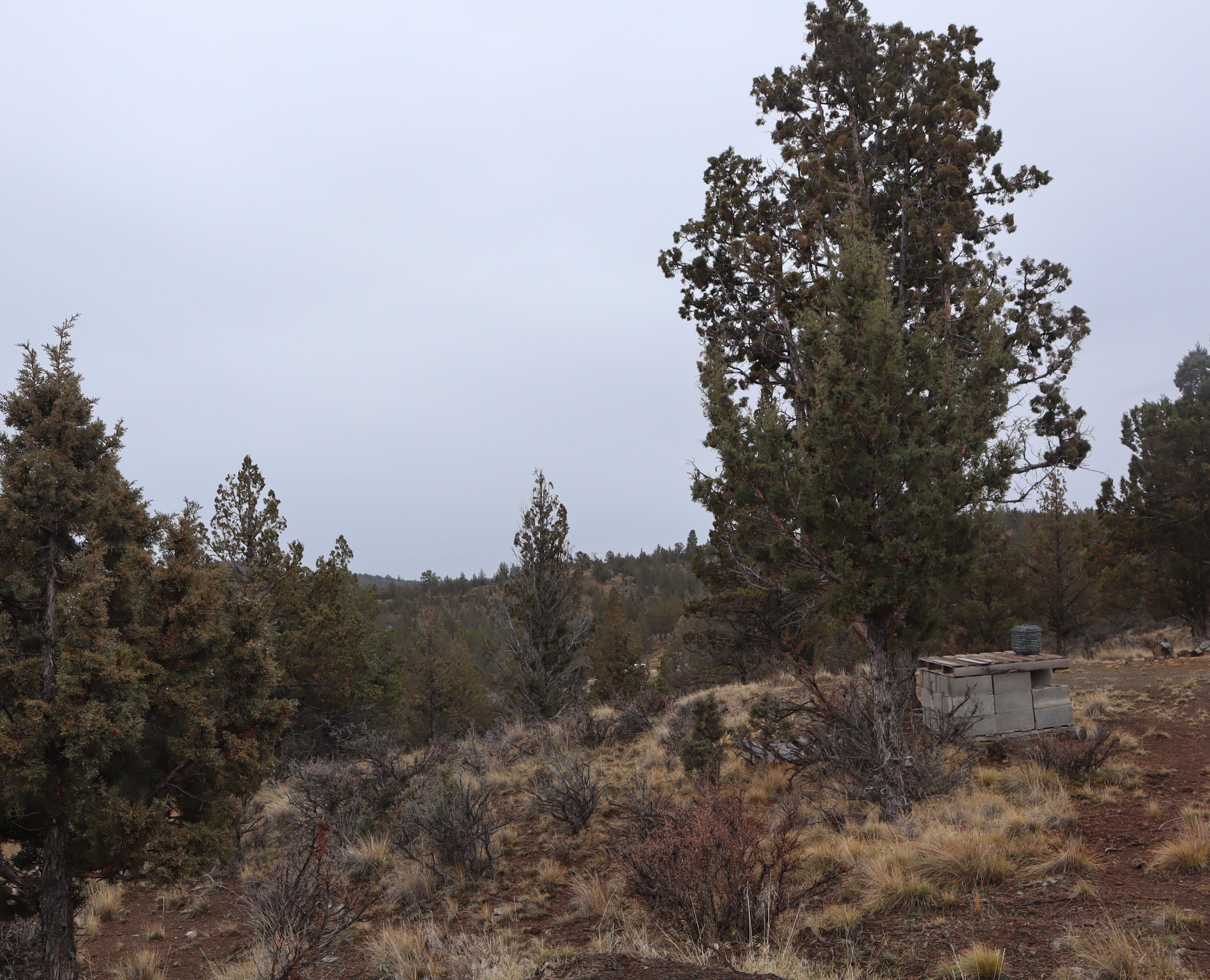 20102 Osprey Road, Unit 800 Prineville, OR 97754 - Photo 20 of 20 IMG_1536
