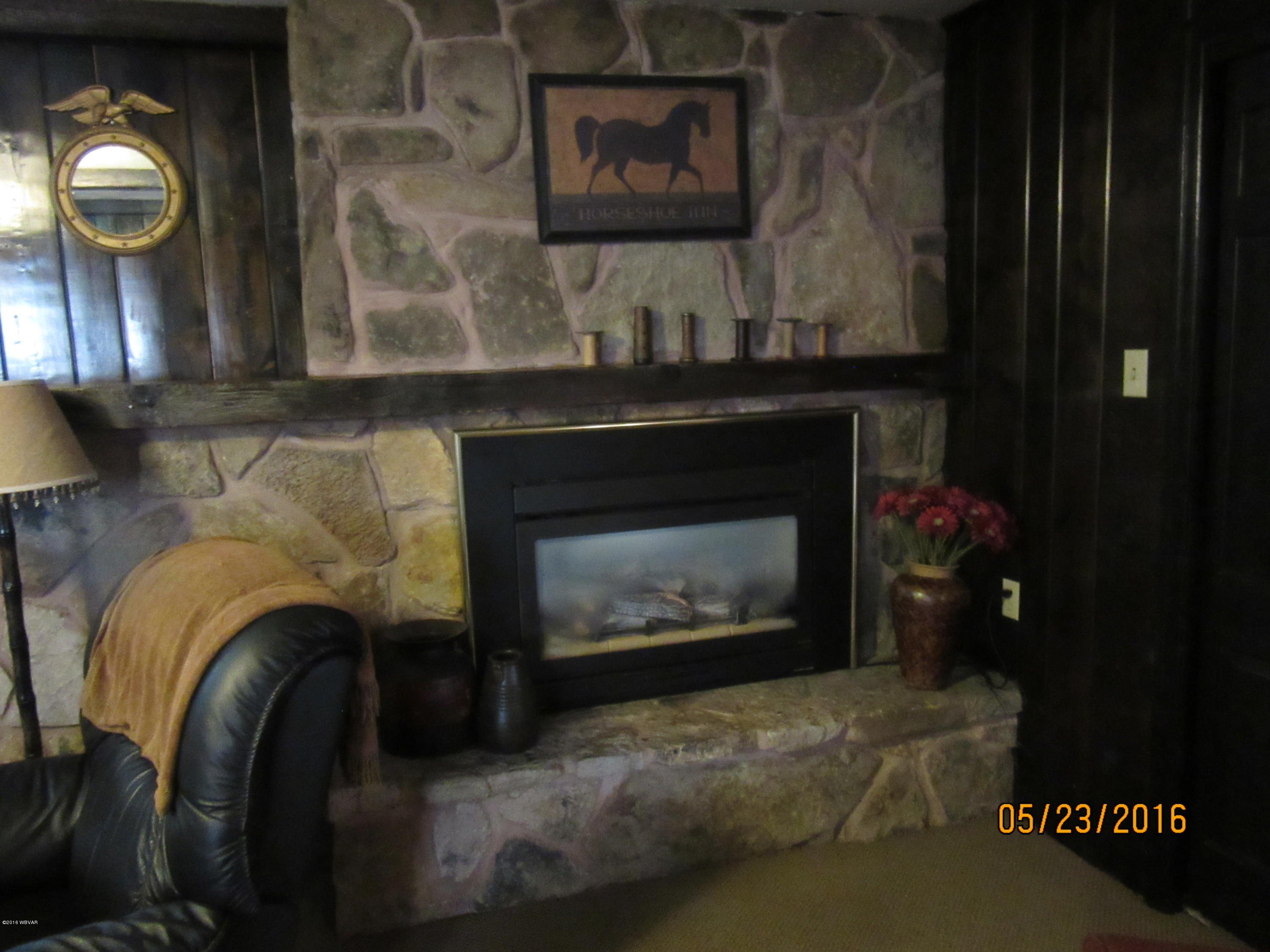 212 Belle Springs Road Mill Hall, PA 17751 - Photo 42 of 54 Gas fireplace LL