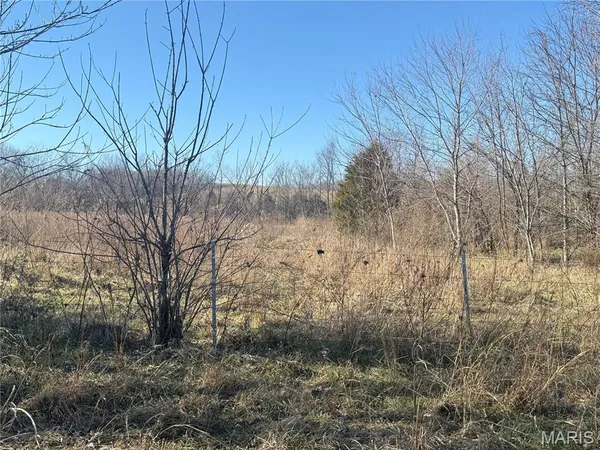 $14,900 | 0 Bcr 352 Marble Hill, Marble Hill, MO 63764