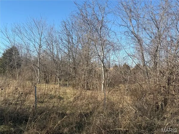 $14,900 | 0 Bcr 352 Marble Hill, Marble Hill, MO 63764