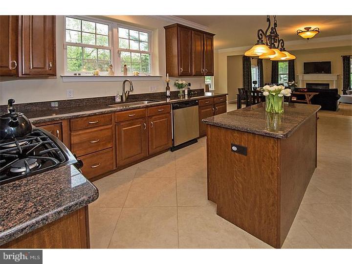 1611 Yost Road Blue Bell, PA 19422 - Photo 8 of 22 Gallery Image 8