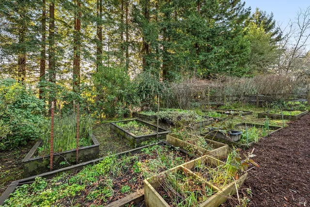 a view of an outdoor space and a yard