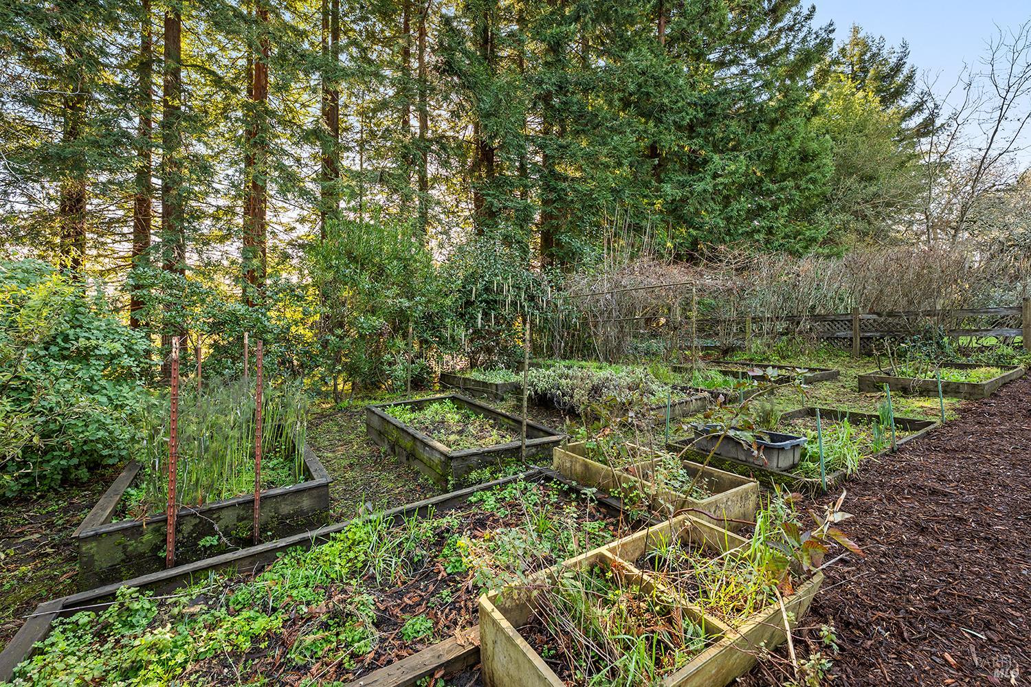 1417 Deer Lane Sebastopol, CA 95472 - Photo 38 of 66 a view of yard with green space