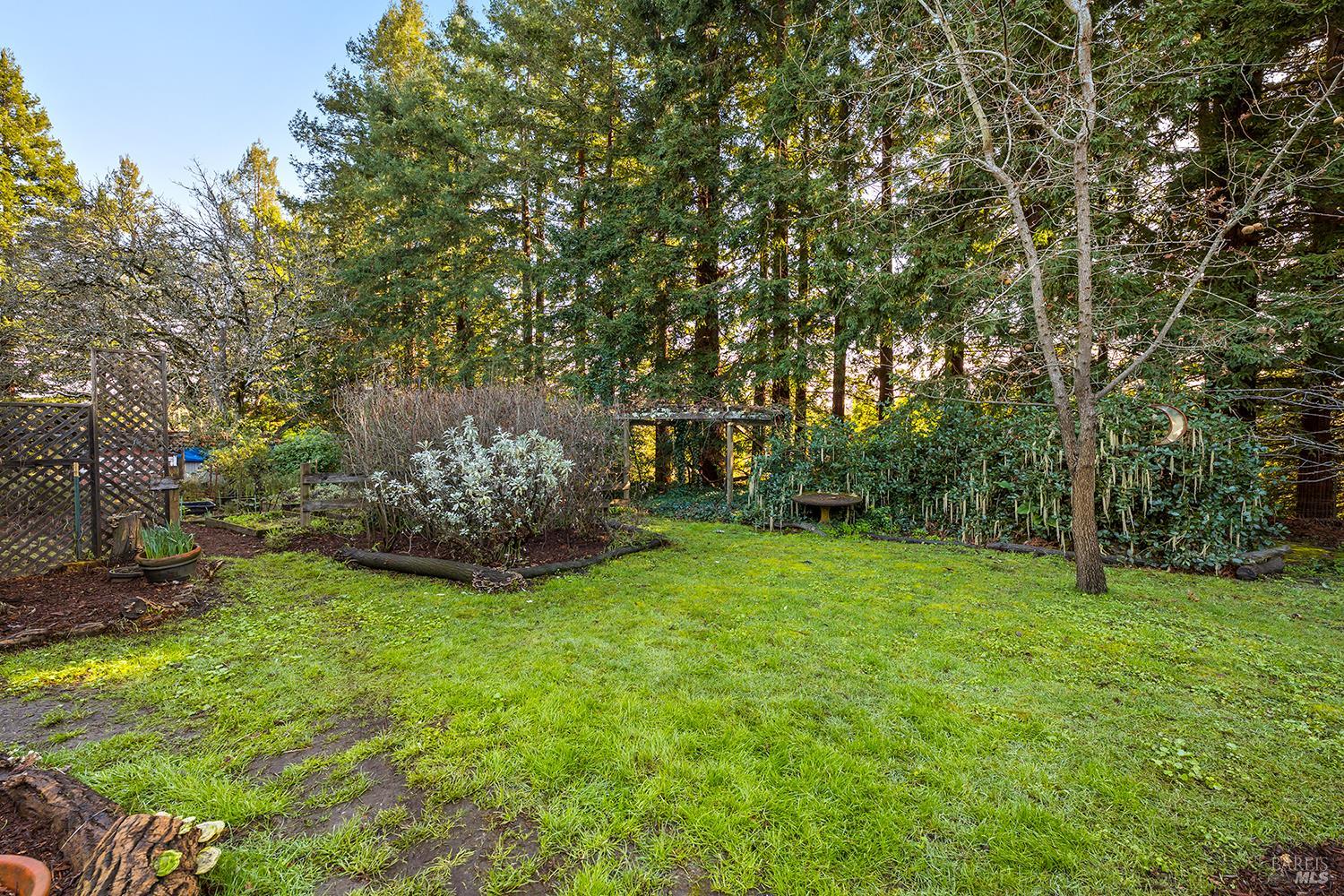 1417 Deer Lane Sebastopol, CA 95472 - Photo 39 of 66 a view of green field with trees in the background