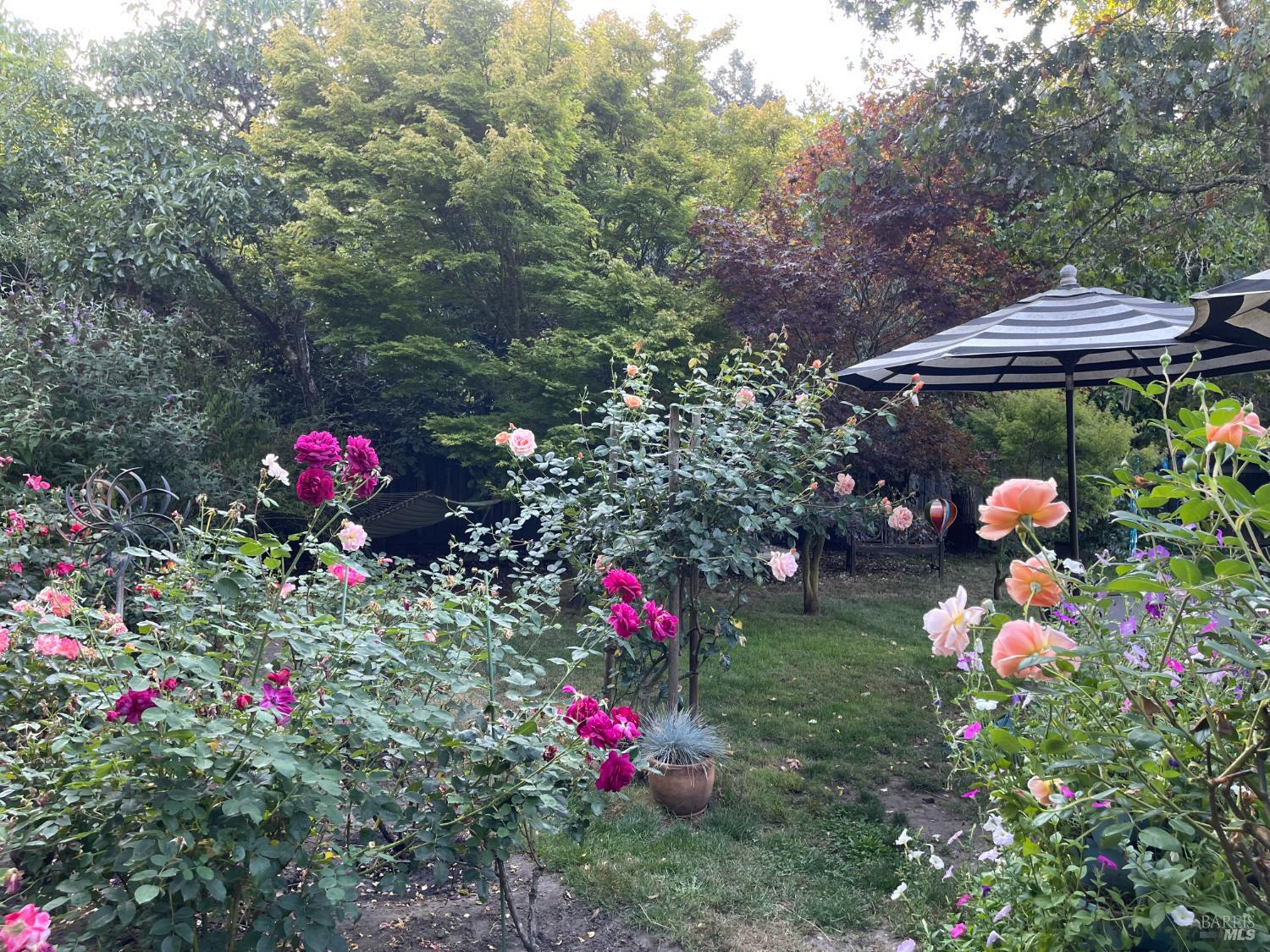 1417 Deer Lane Sebastopol, CA 95472 - Photo 48 of 66 a view of a flower in a yard