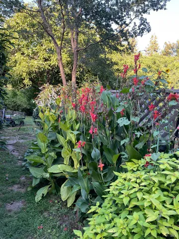 $1,195,000 | 1417 Deer Lane, Sebastopol, CA 95472