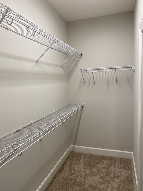 131 Flat Woods Road Lebanon, TN 37090 - Photo 15 of 25 a view of a room with racks on the wall