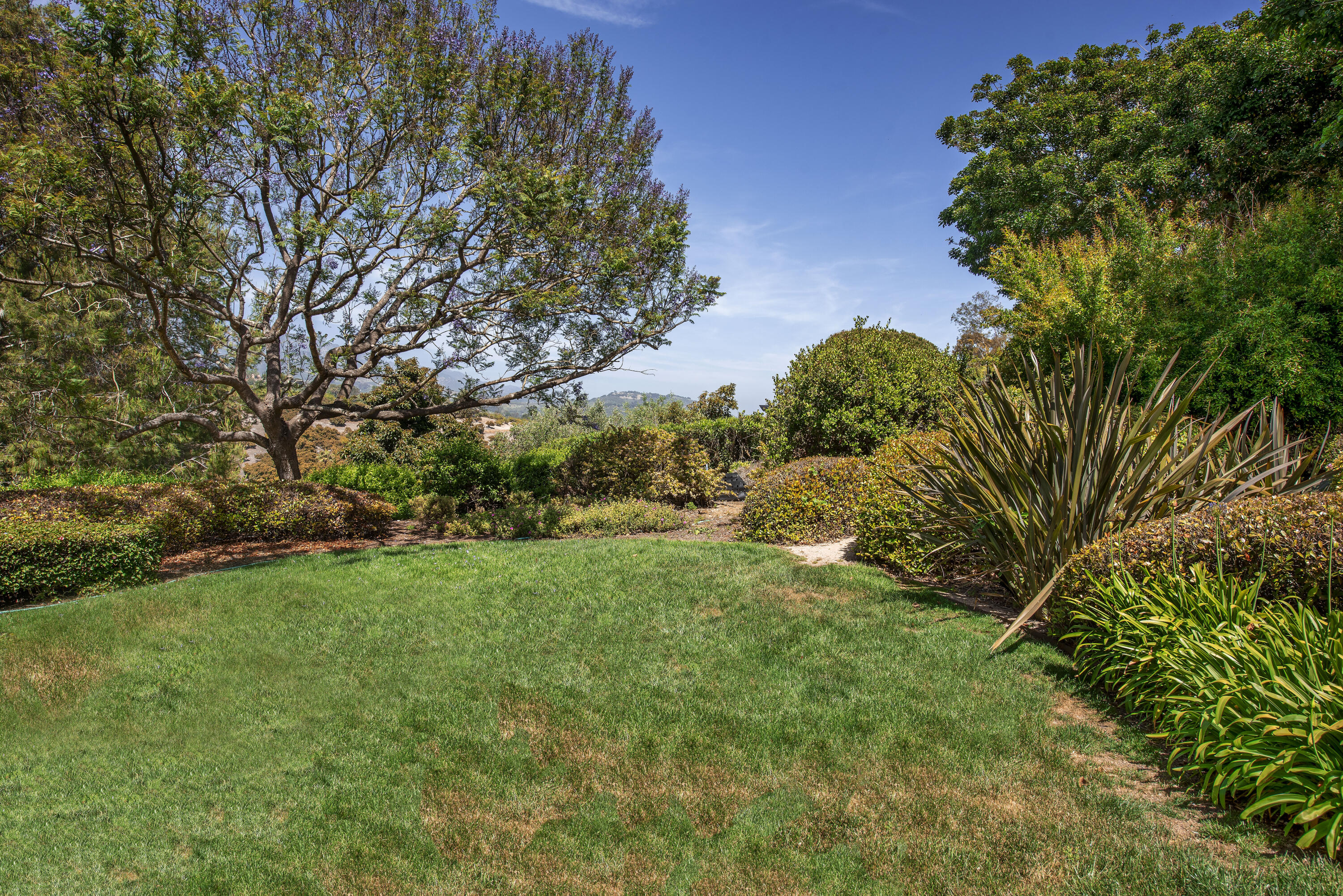 2240 Ortega Ranch Road Summerland, CA 93067 - Photo 82 of 87 a view of backyard with green space