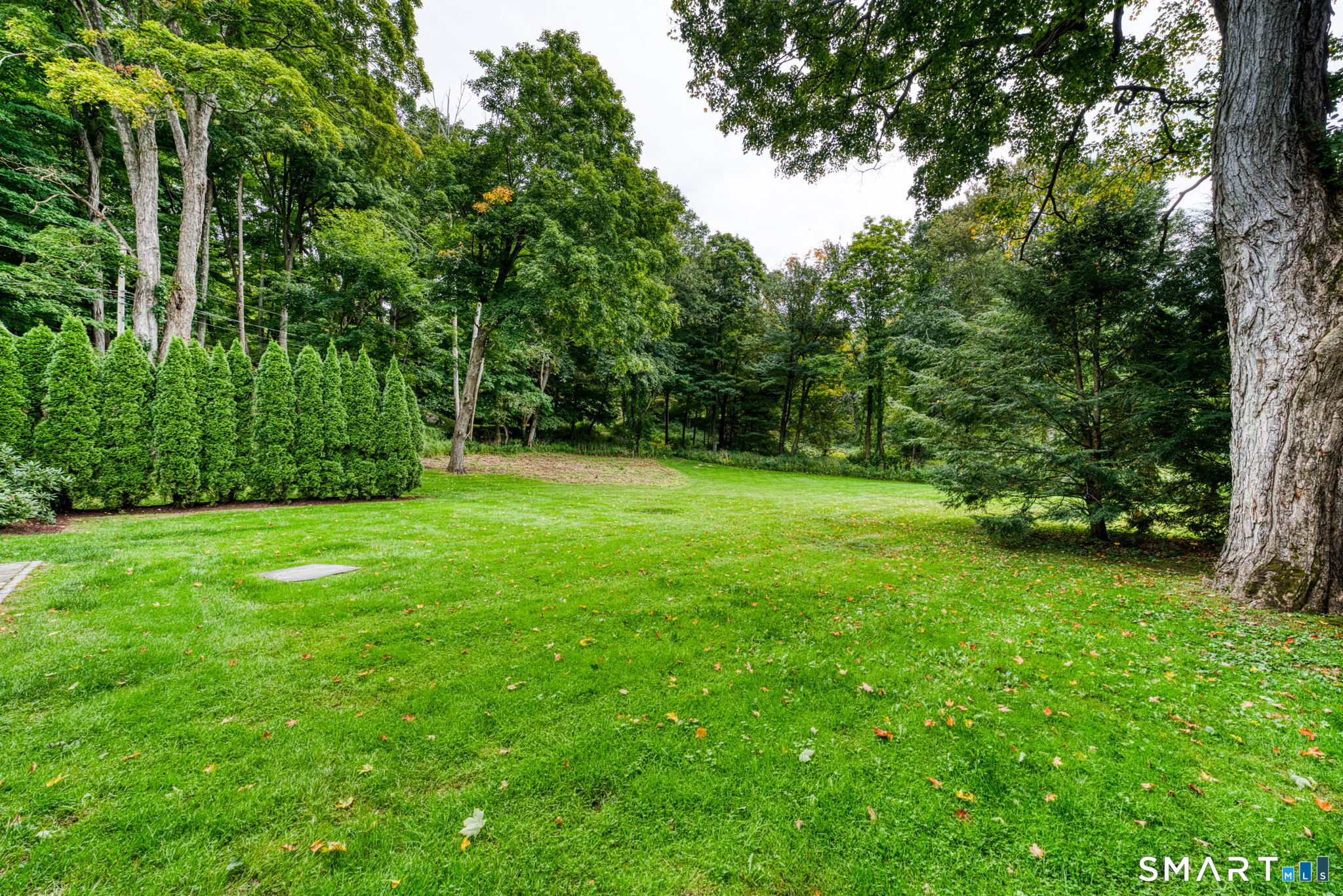 6 Pitch Road Litchfield, CT 06759 - Photo 9 of 32 Flat level yard