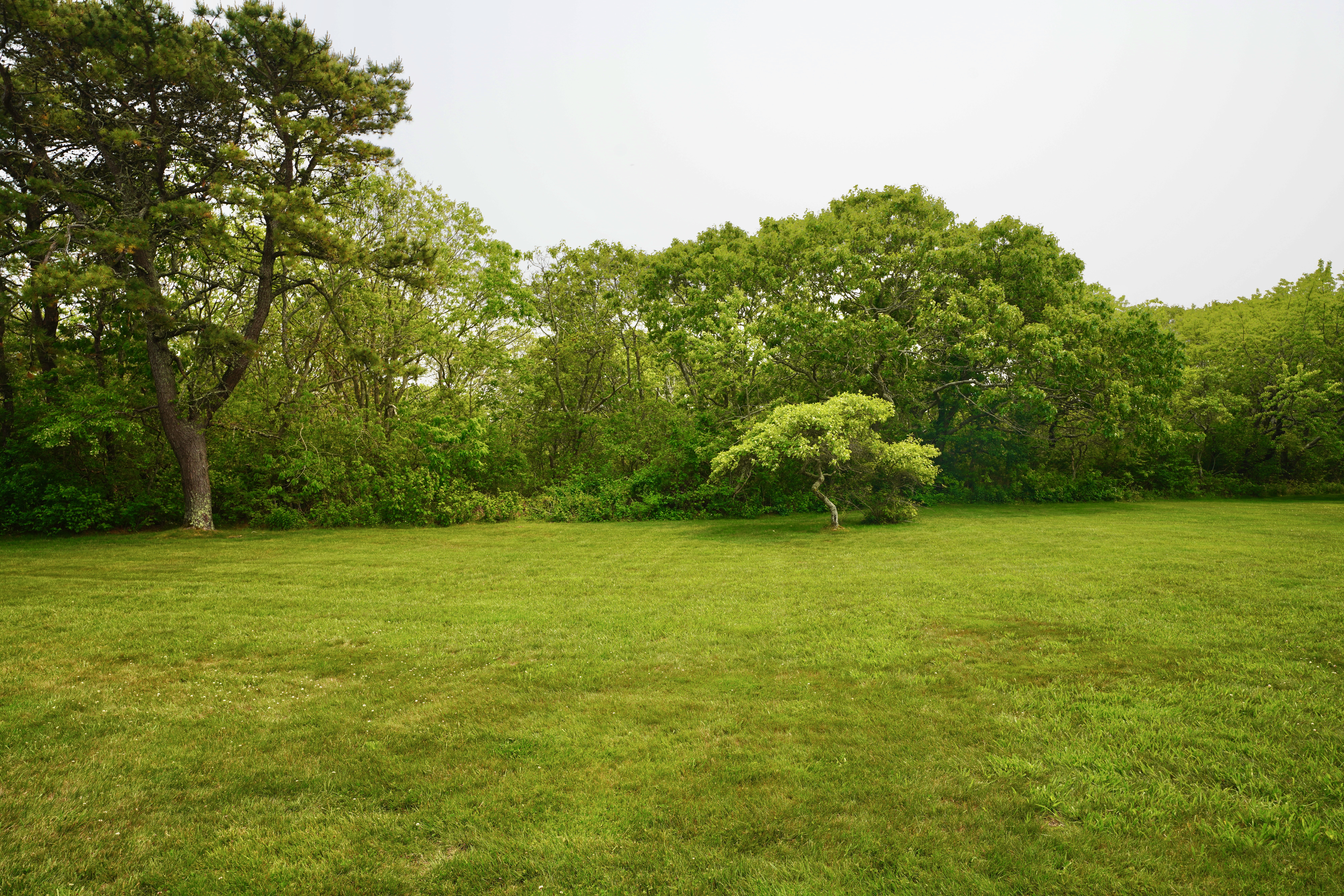 459 Katama Road, Unit A6 Edgartown, MA 02539 - Photo 29 of 30 Gallery Image 29