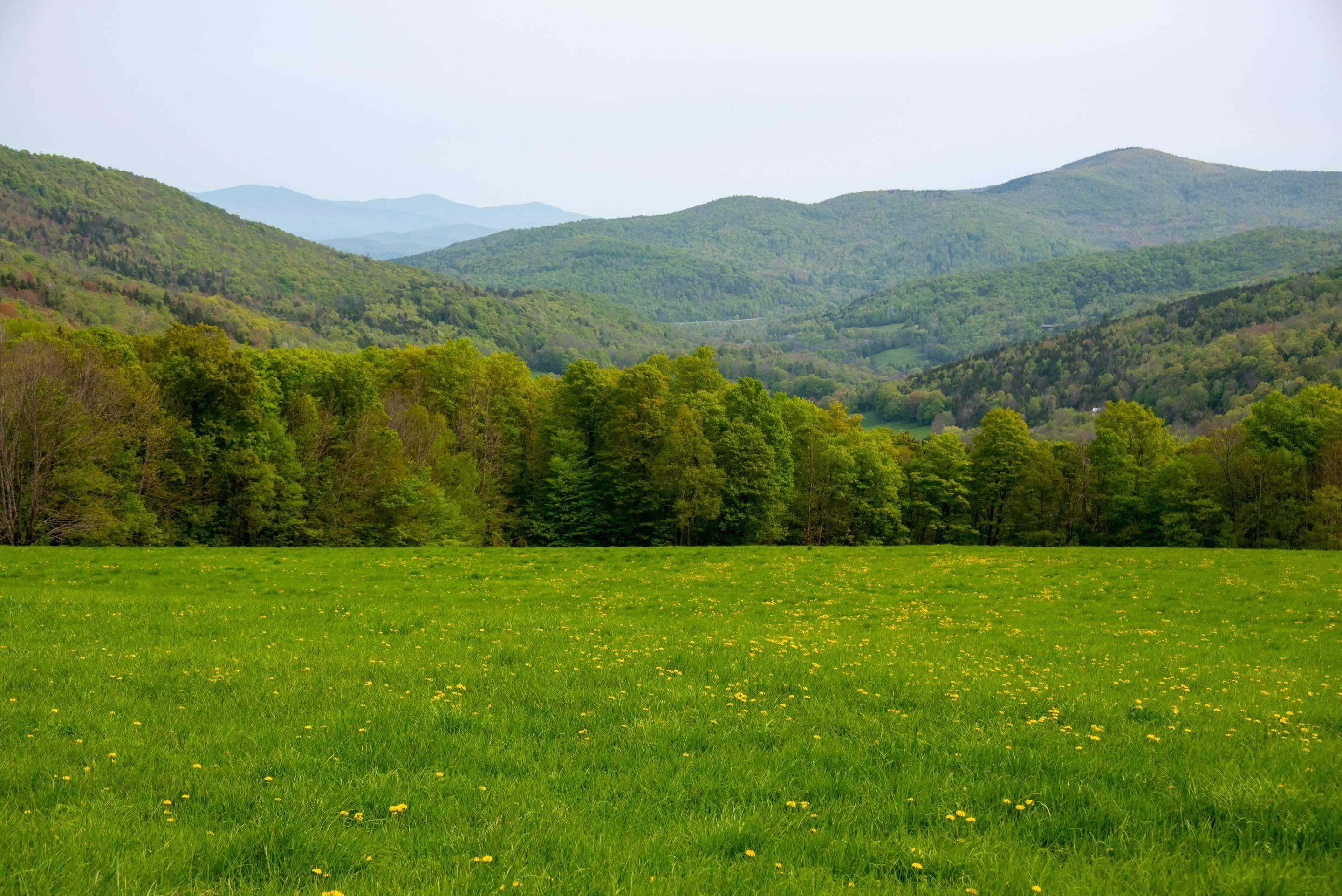 357 Drown Road Roxbury, VT 05060 - Photo 37 of 39