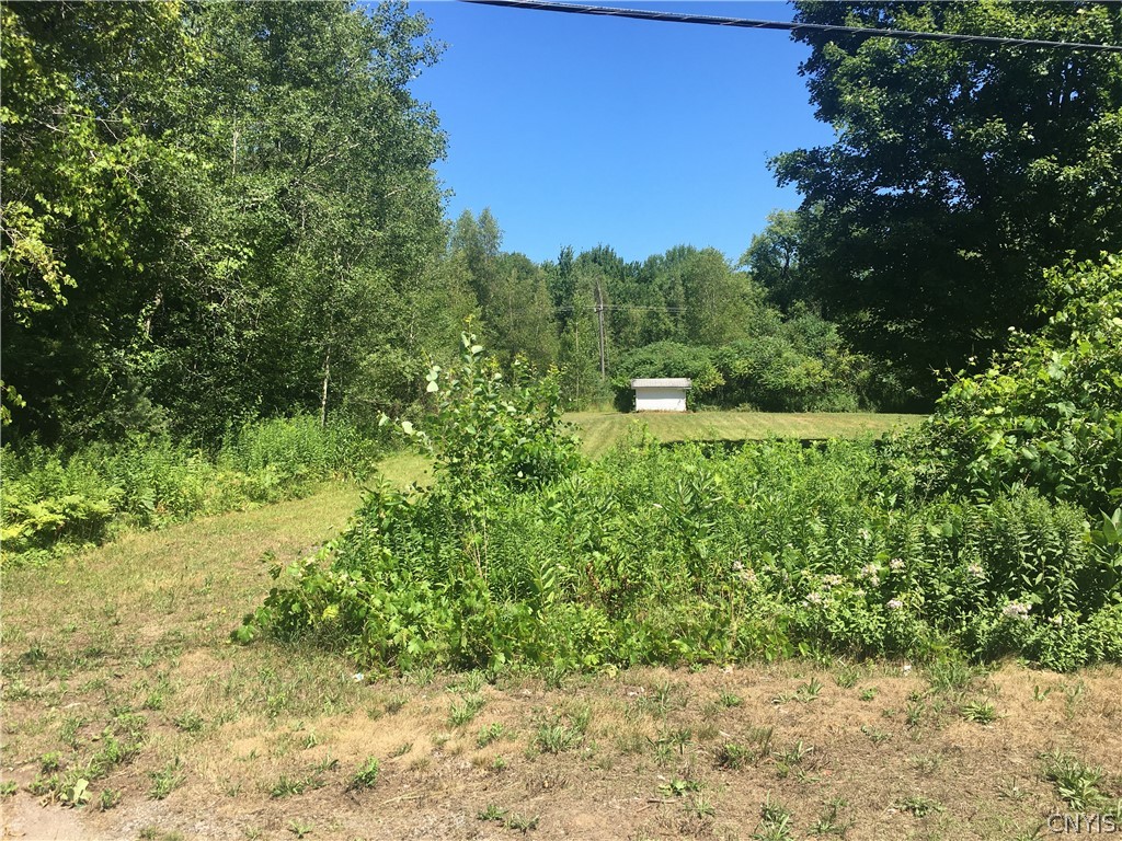 Land View from road