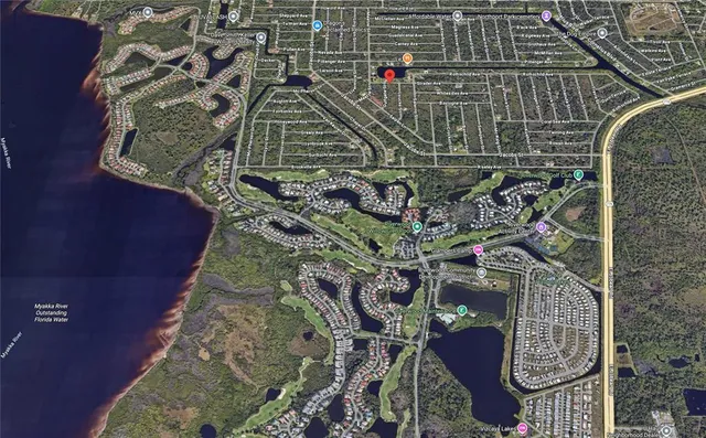 a picture of a plant in a garden